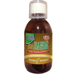 Bois Bande Goût 200ml Menthe